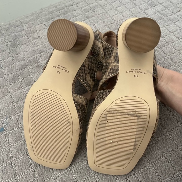 NWOB Women’s Cole Haan Reina City Sandal in ‘Snake Printed Leather’ SZ 7 - Picture 6 of 7